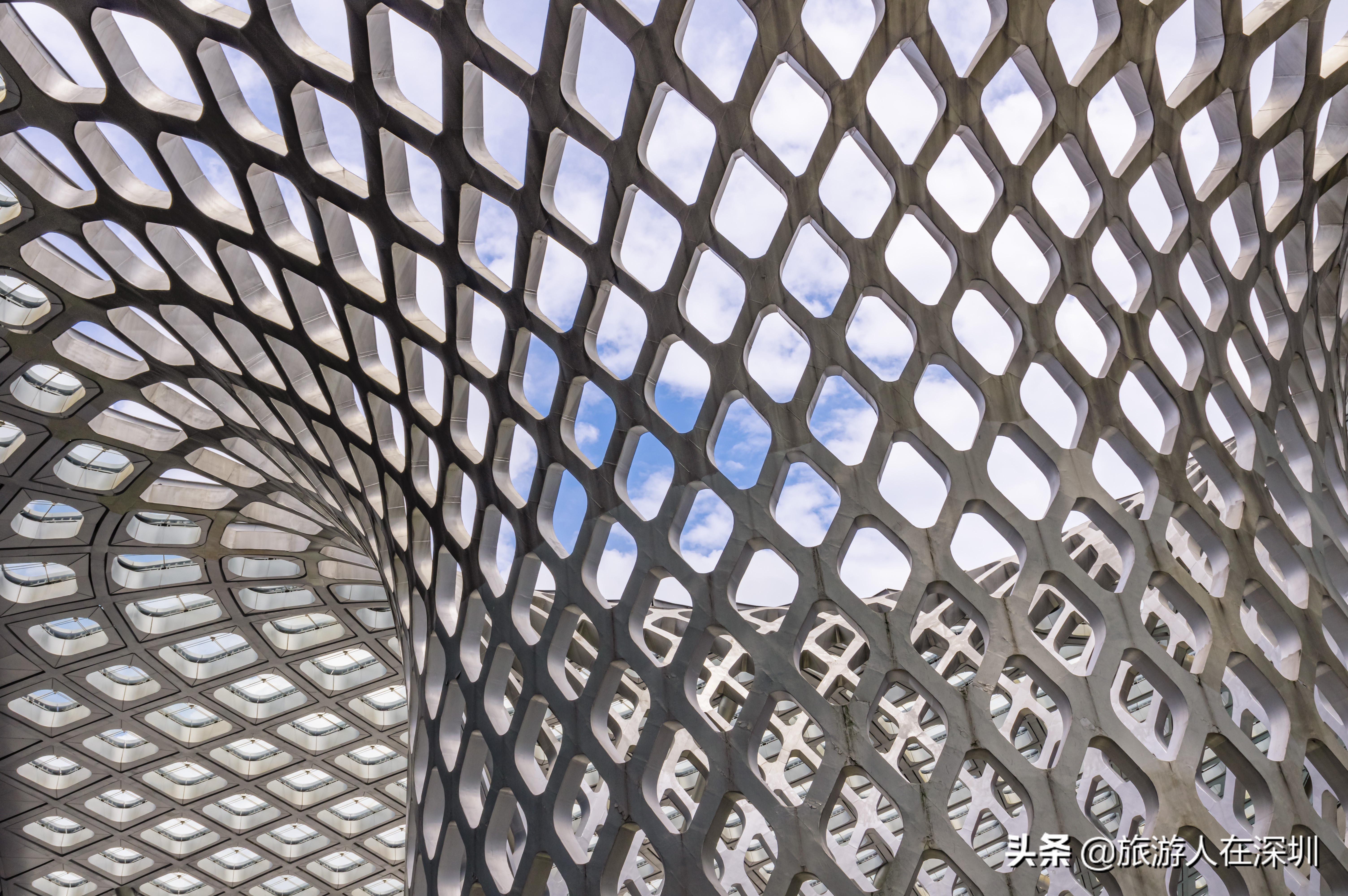 鸟巢体育场建筑特点,深圳湾体育中心像什么