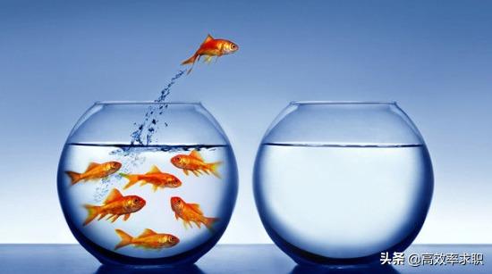 员工流失率的创新之处,现代员工流失的问题