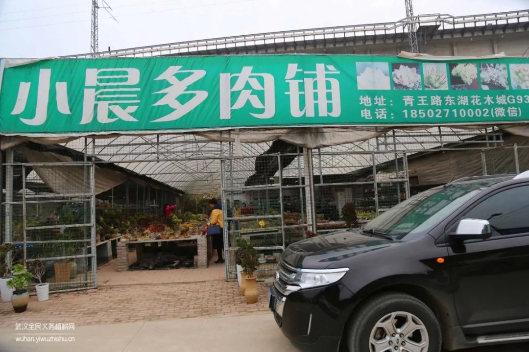 园艺沙龙|前方高能！一大波人相约逛花市，究竟淘了些啥？