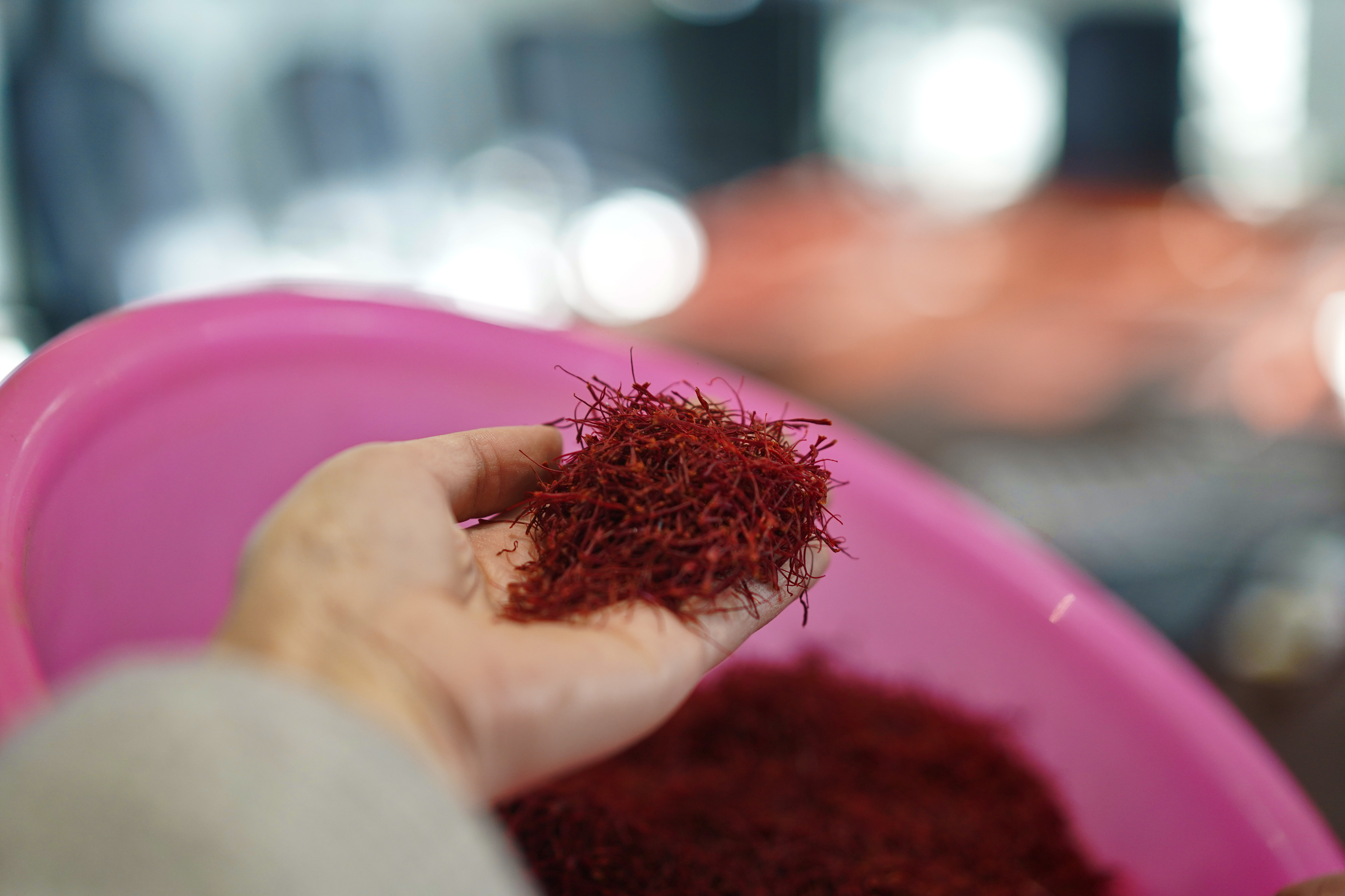 有一种植物产自伊朗和上海，却被误解为*藏西**特产，游客打飞的去买