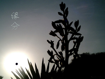 克服消极情绪的最好方法是专注,消极情绪时给自己的鼓励