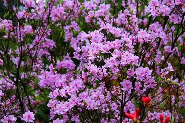 鍗佸牥51鍑鸿鏀荤暐,婀栧寳鍗佸牥鏃呮父鏀荤暐浜斾竴