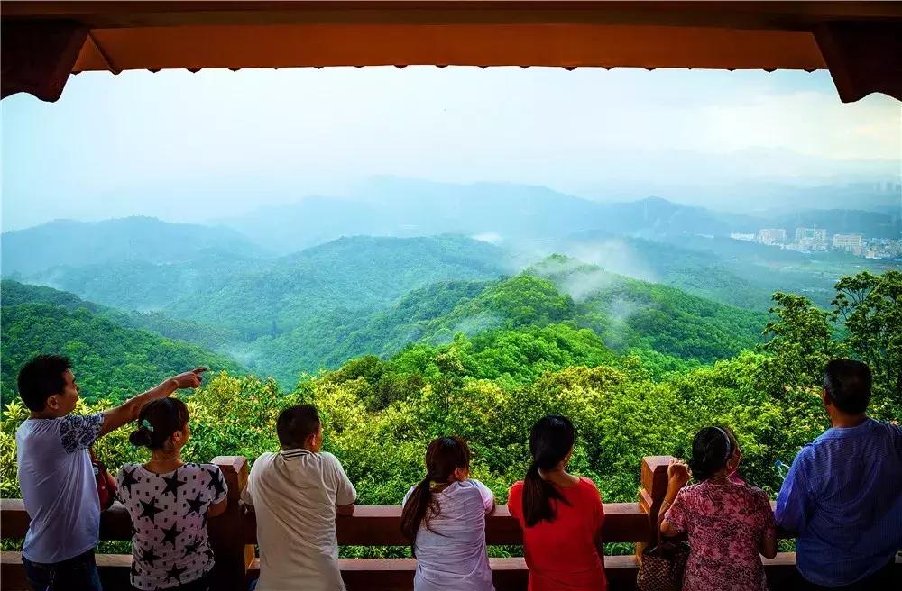 郑州春节周边景区免费景点大全,春节赏花的好去处