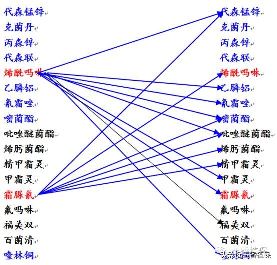 葡萄霜霉病终极用药方案