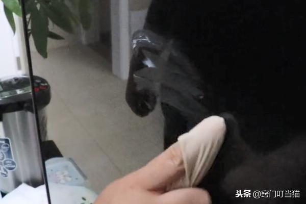 你还在用水擦电视屏幕吗？倒点它擦一擦，立马洁净如新