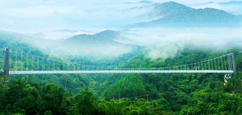 广东开平天露山梅花,广州新兴天露山梅花