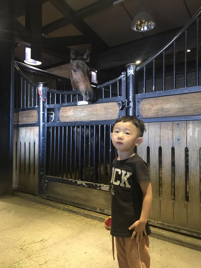 亲子游3天2晚郑州,暑假遛娃郑州