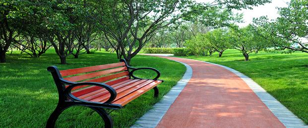 深圳市新开的公园,深圳新开放的公园有哪些