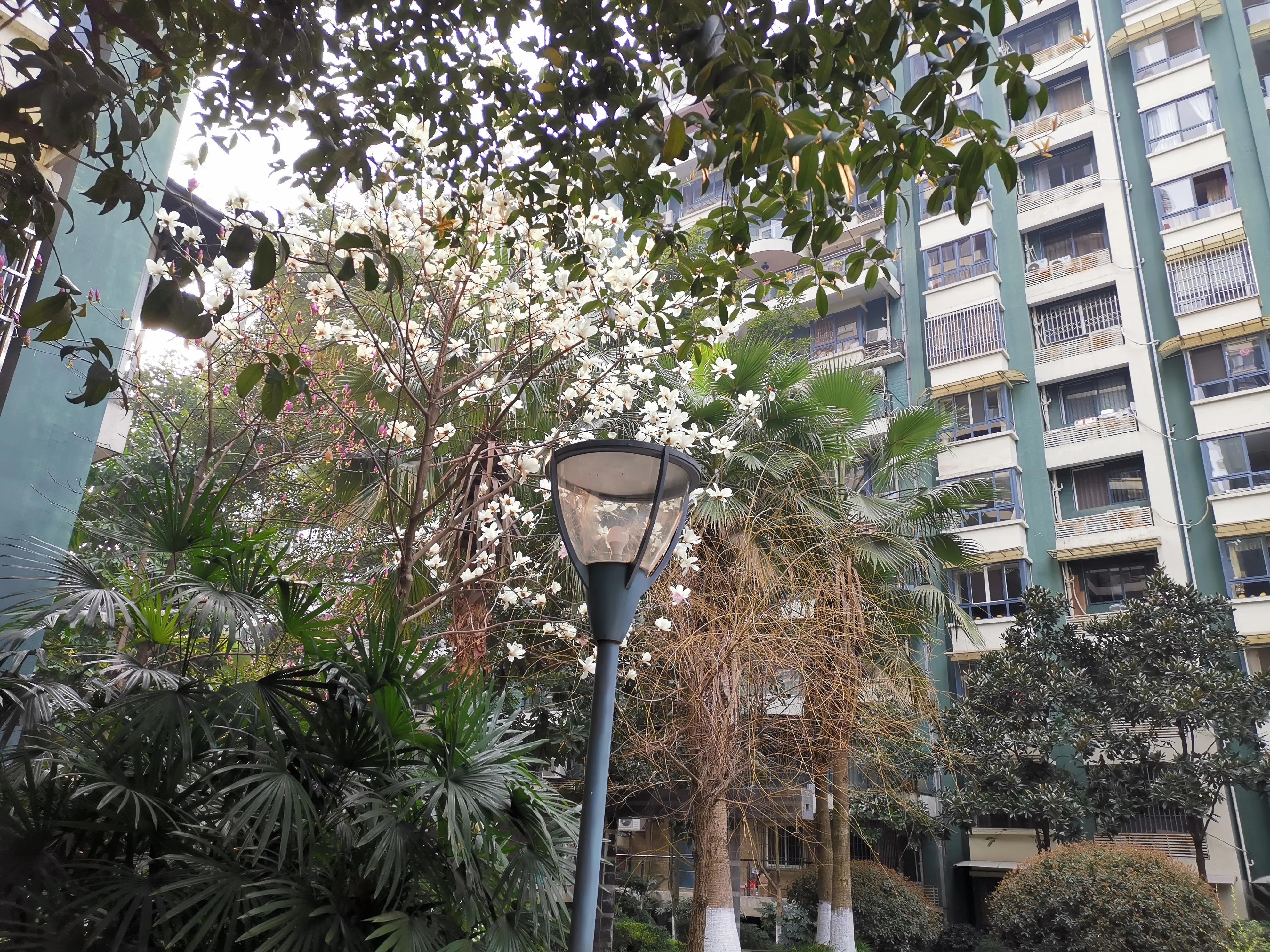 尚东国际小区物业,灵璧尚东国际安置房物业电话