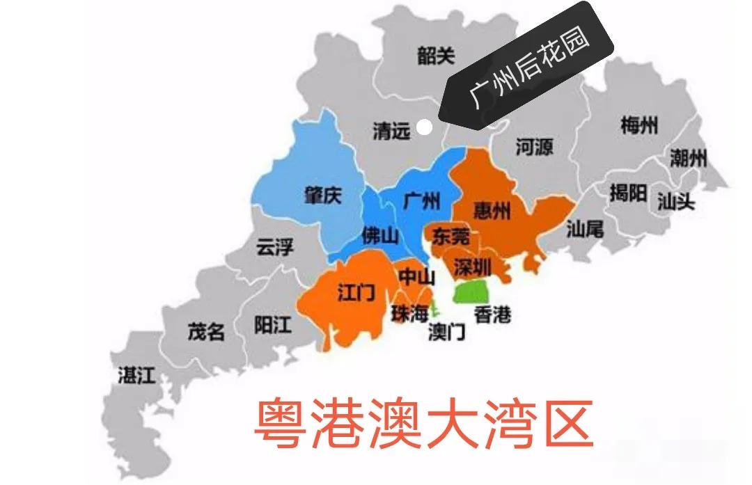 炒房客血本无归的案例,炒房客崩盘的后果