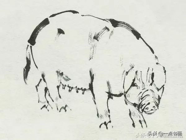 简单猪画画教学,国画写意猪图大全