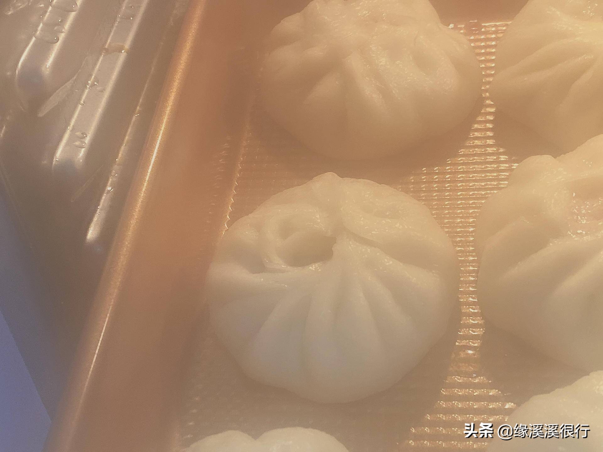 蒸烤一体机凯度zdpro测评,凯度蒸烤一体机评测