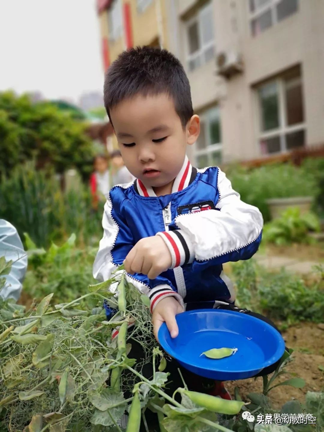 幼稚园思维训练,仪式感满满的幼儿园户外