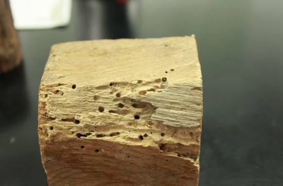 榻榻米的七宗罪,小户型榻榻米有必要做吗