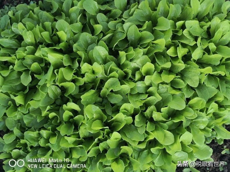 预警异常指标及行业税负率,预收账款达到什么指标会预警