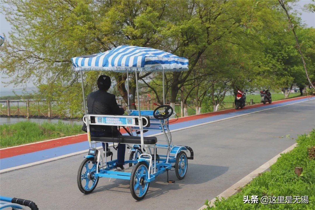 无锡最美网红步道坡度,无锡网红步道有哪些