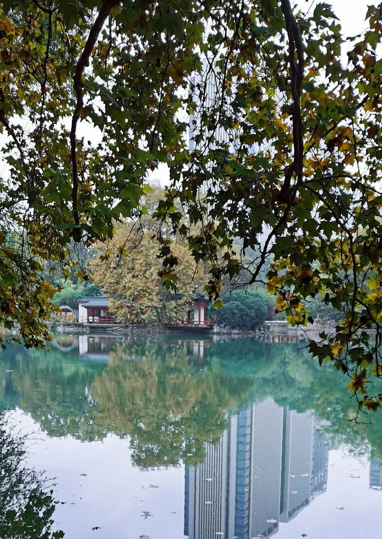 娴呯濡傛ⅵ鍚庣画,娴呯濡傛ⅵ