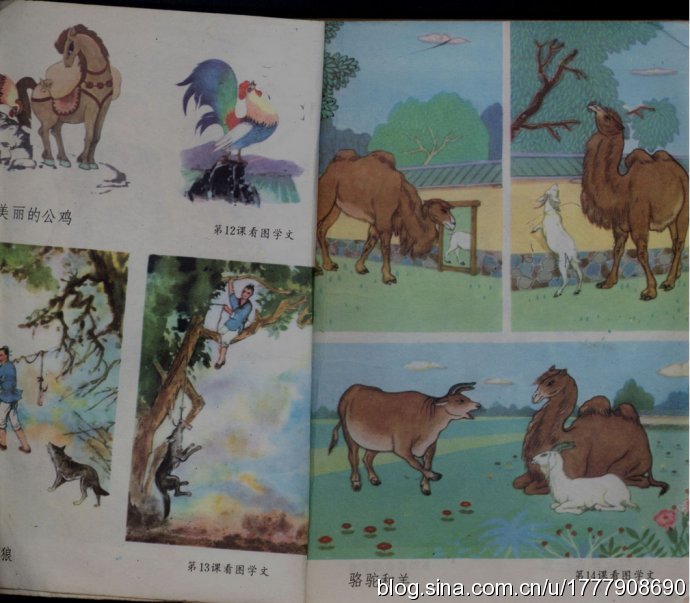 珍藏版：1987-1988年人教版五年制小学语文全集