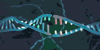 腿毛长不用穿秋裤,腿毛太长冬天穿秋裤简直就是噩梦