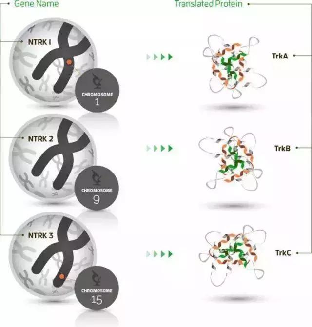 70种抗癌药新特效药,十大抗癌新药治疗癌症