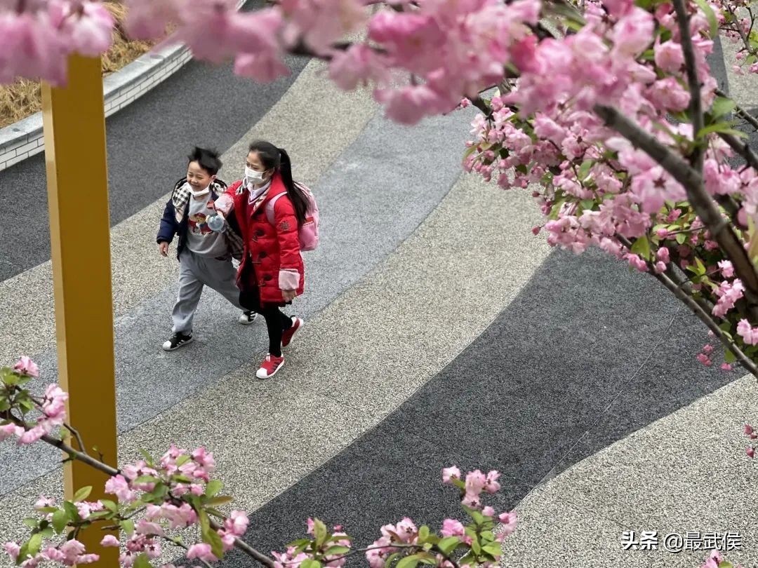 孩子开学生活步入正轨视频,开学后的校园生活