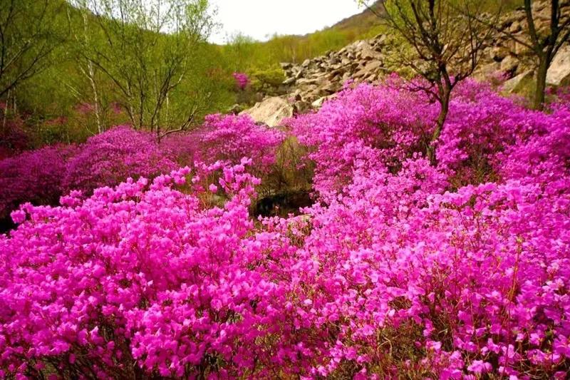 怀柔新闻最近消息,怀柔今年的新闻