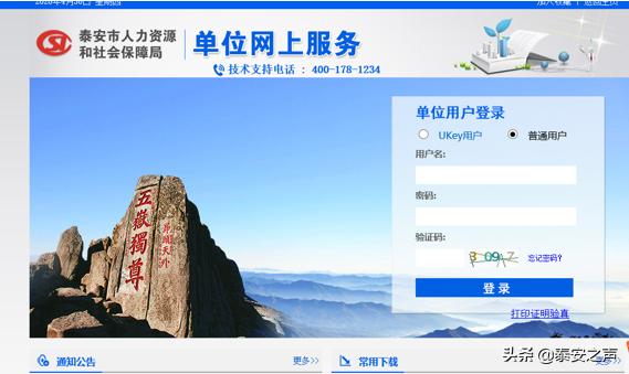 山东省泰安市岱岳区社保缴费公告,社会保险基金缴费单据