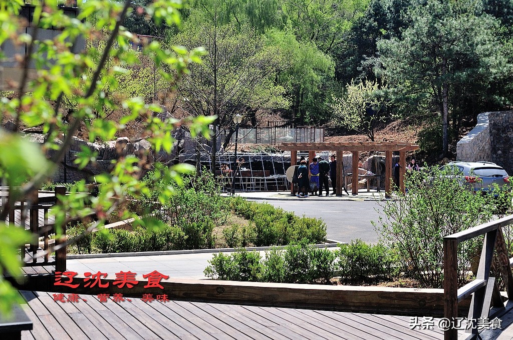 沈阳棋盘山满族风情村烤全羊,沈阳棋盘山莲花炖鱼馆烤全羊