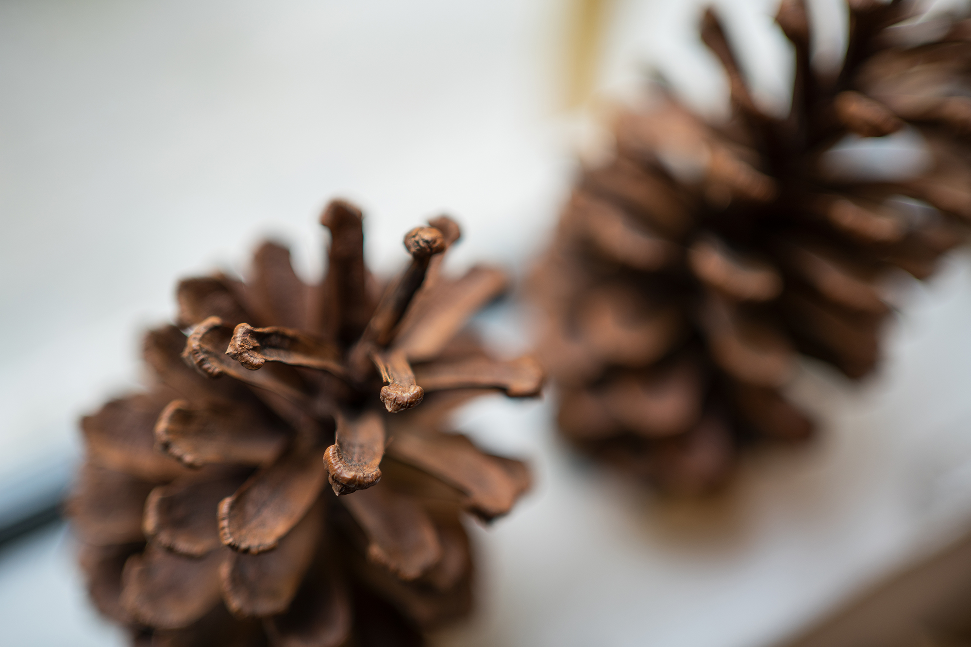 索尼fe35f1.8全画幅测评,索尼fe35mmf2.8蔡司镜头评测