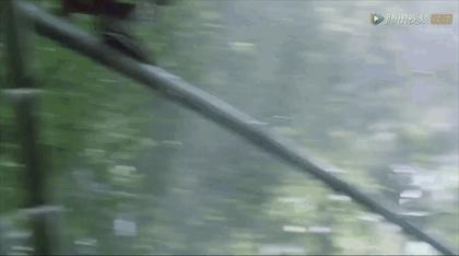 从万众期待到争议不止,从满怀期待到一次次望眼欲穿