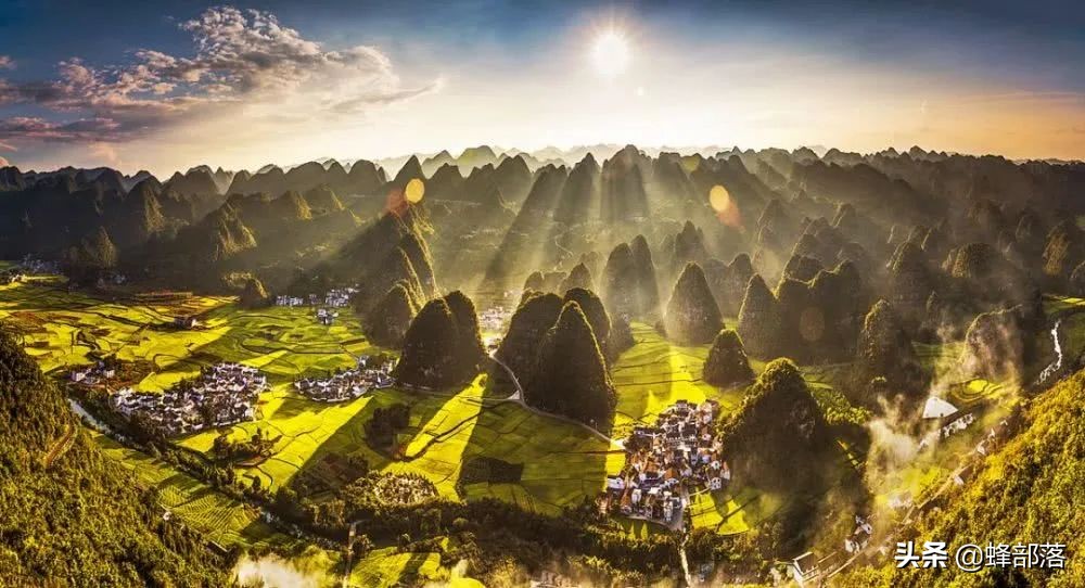 涔℃潙鎸叴铚滆渹鍙戝睍,铚滆渹鍔╁姏涔℃潙鎸叴