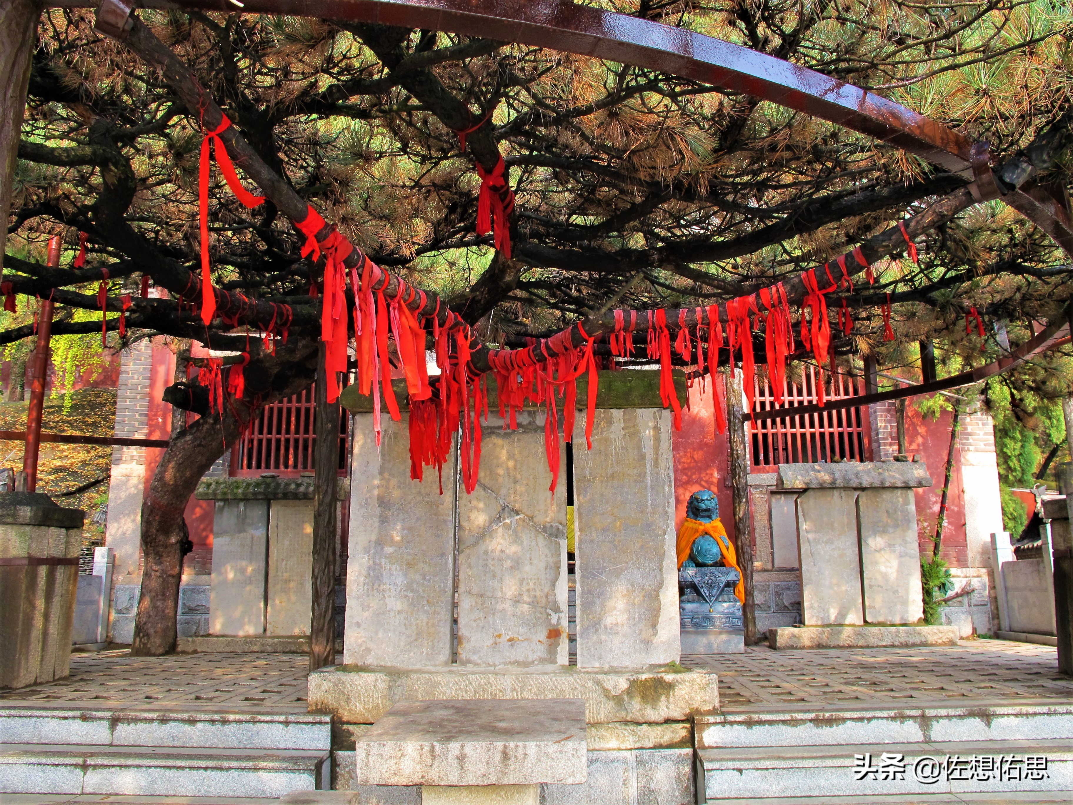 扇子崖优惠,泰安扇子崖免门票吗