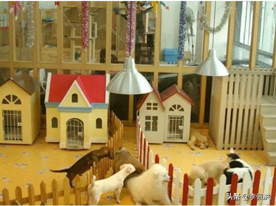 宠物医院靠什么盈利赚钱的多,宠物医院不赚钱为什么越开越多