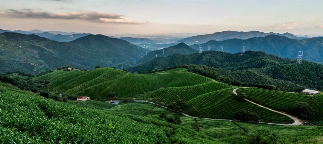 杭州最美步行绿道,杭州最美绿道路线