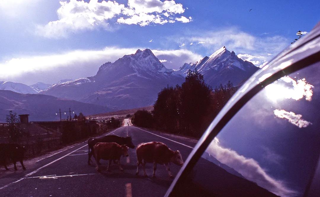 你在想五一去哪,他们在想五一怎么活