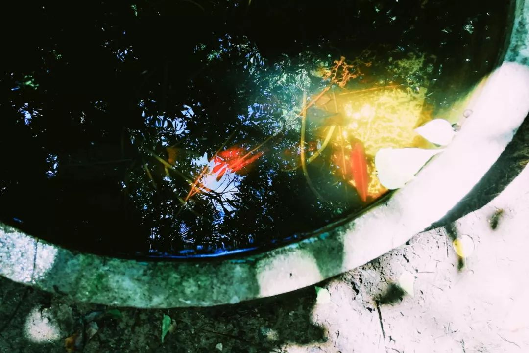 清迈的现状,清迈重逢