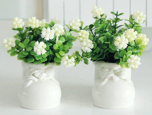 水泡烂苹果,可以喝的“营养液”,干净肥力大,浇啥旺啥,还减肥