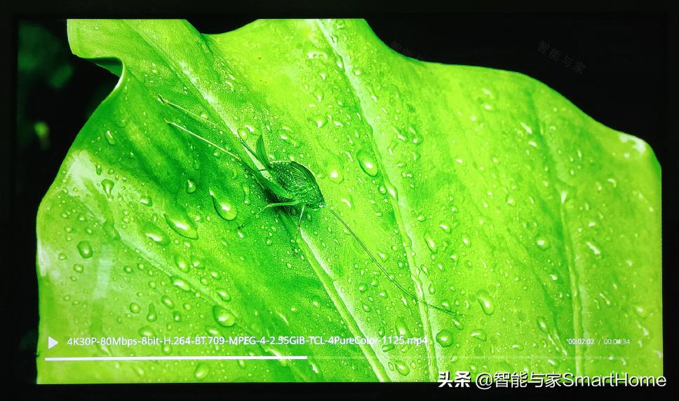 50寸智慧屏x1多少钱,55寸荣耀智慧屏x1