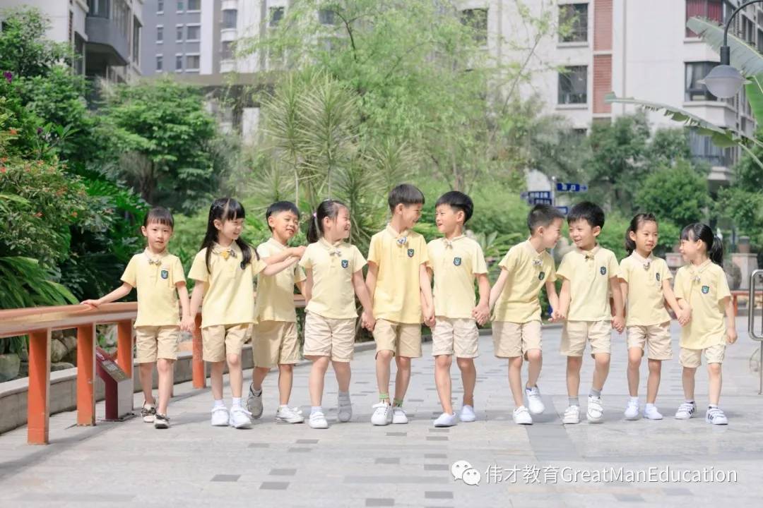 正阳伟才教育,伟才教育最新消息