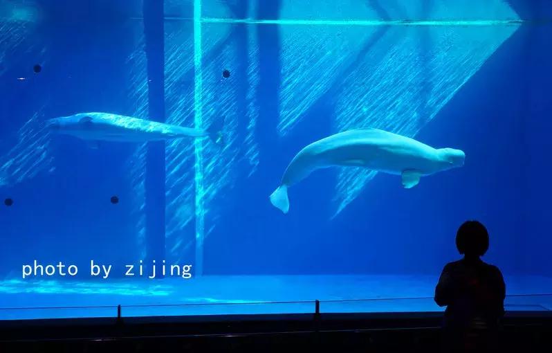 淮安清江浦运河游记,运河古都淮安一日游