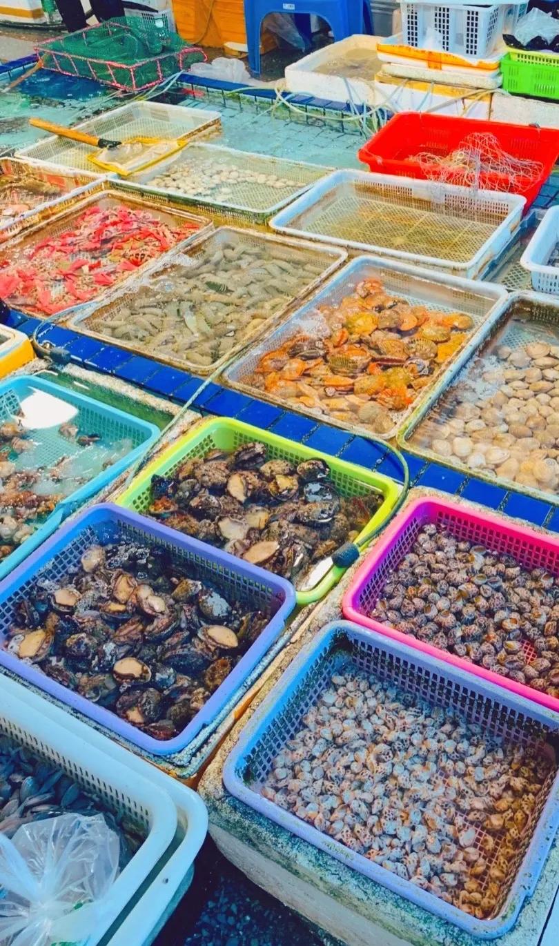 这个春节怎么过一大波攻略来啦,春节期间的最全攻略