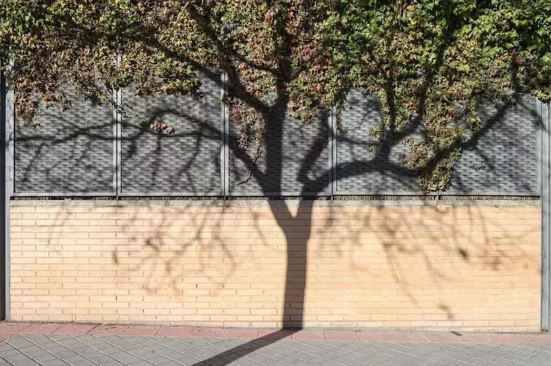 小七甜蜜献吻贝克汉姆,贝克汉姆吻小七引争议视频