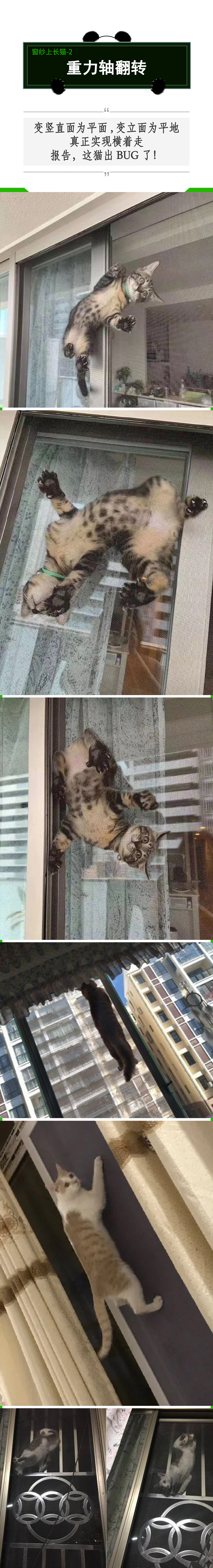 有纱窗为什么家里总有蚊子,有防盗网的房间窗户防蚊纱窗