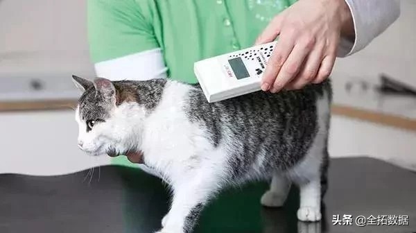 全拓数据怎么样,全拓数据