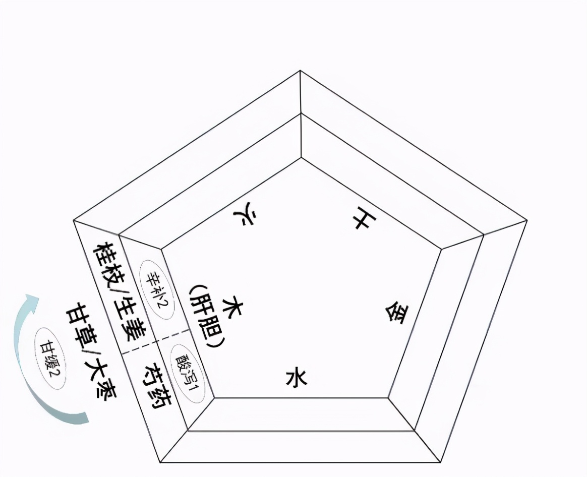 汤液经法图系列,2：通过虚实认识疾病，采用补泻治疗疾病