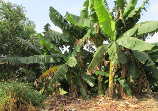 有趣冷小知识,另类知识