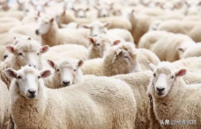 双面羊绒大衣极简轻奢风早秋穿搭,黑色羊绒大衣中长款外套穿搭