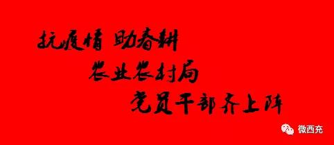 抗疫情保春耕服务农民万里行,春耕农忙抗击疫情