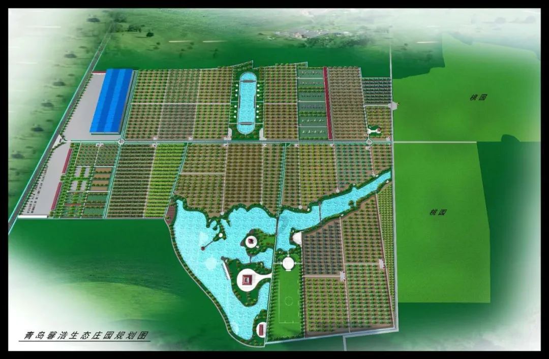 山水望城，“桃”醉你我，通体洁白、如羊脂玉般的蜜桃您见过吗？