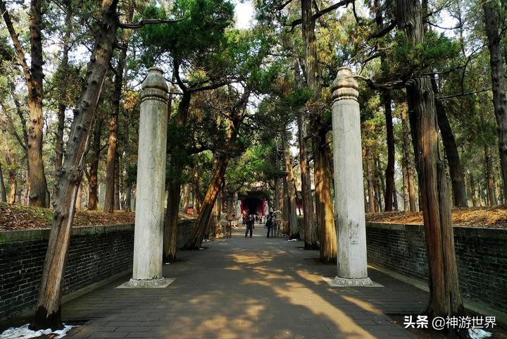 曲阜孔林游记,曲阜孔林